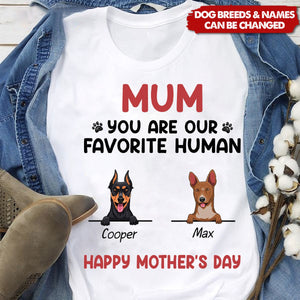 You Are My Favorite Human, Personalized Shirt, Gifts For Dog Lovers