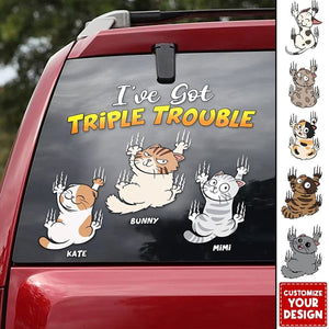 I've Got Trouble Personalized Decal, Gifts For Cat Lover